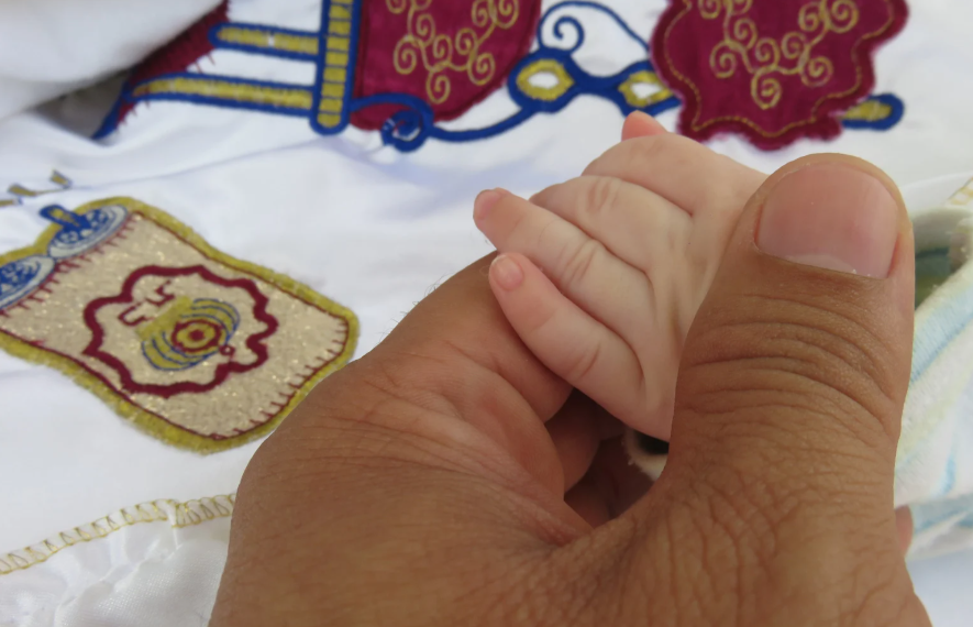 מחירון מוהלים